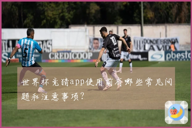世界杯竞猜app使用前有哪些常见问题和注意事项？