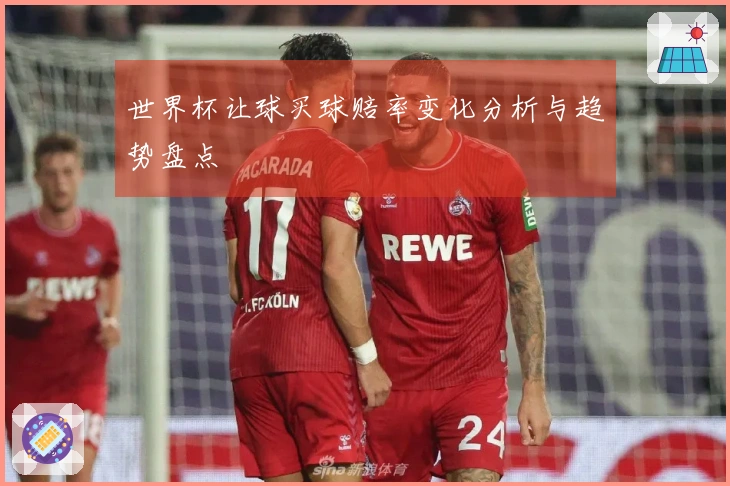 世界杯让球买球赔率变化分析与趋势盘点